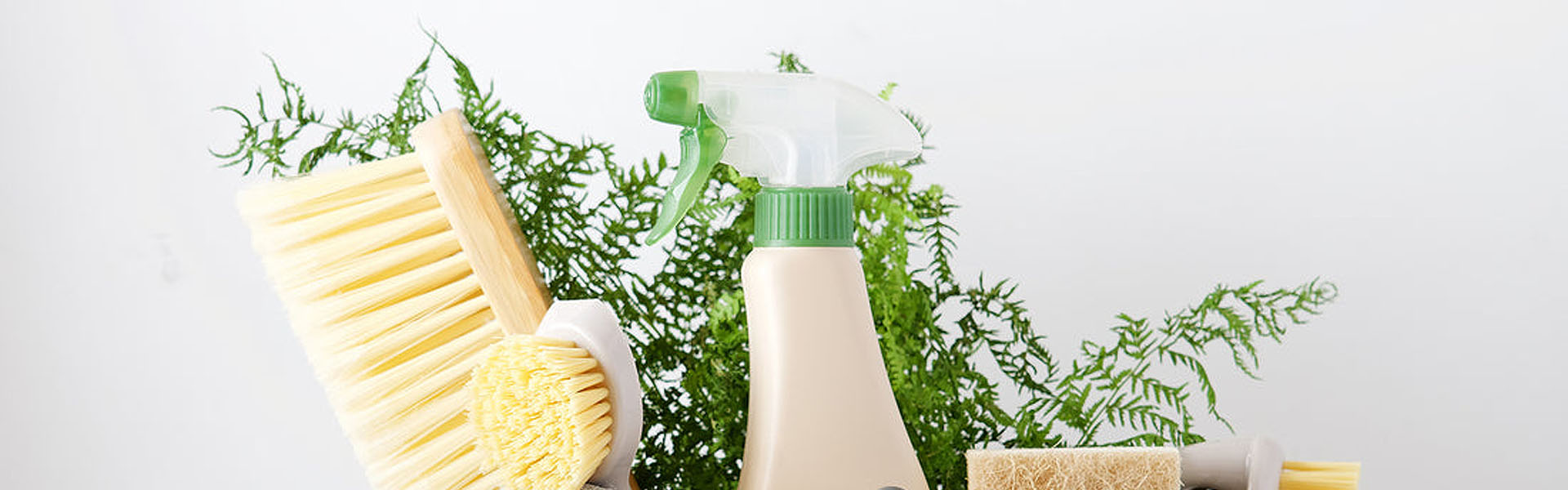 Cómo elegir productos biodegradables sin perder poder de Limpieza