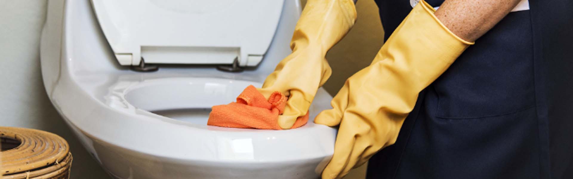 Productos de Limpieza de Baños en Saltillo: Guía contra el Sarro y Gérmenes